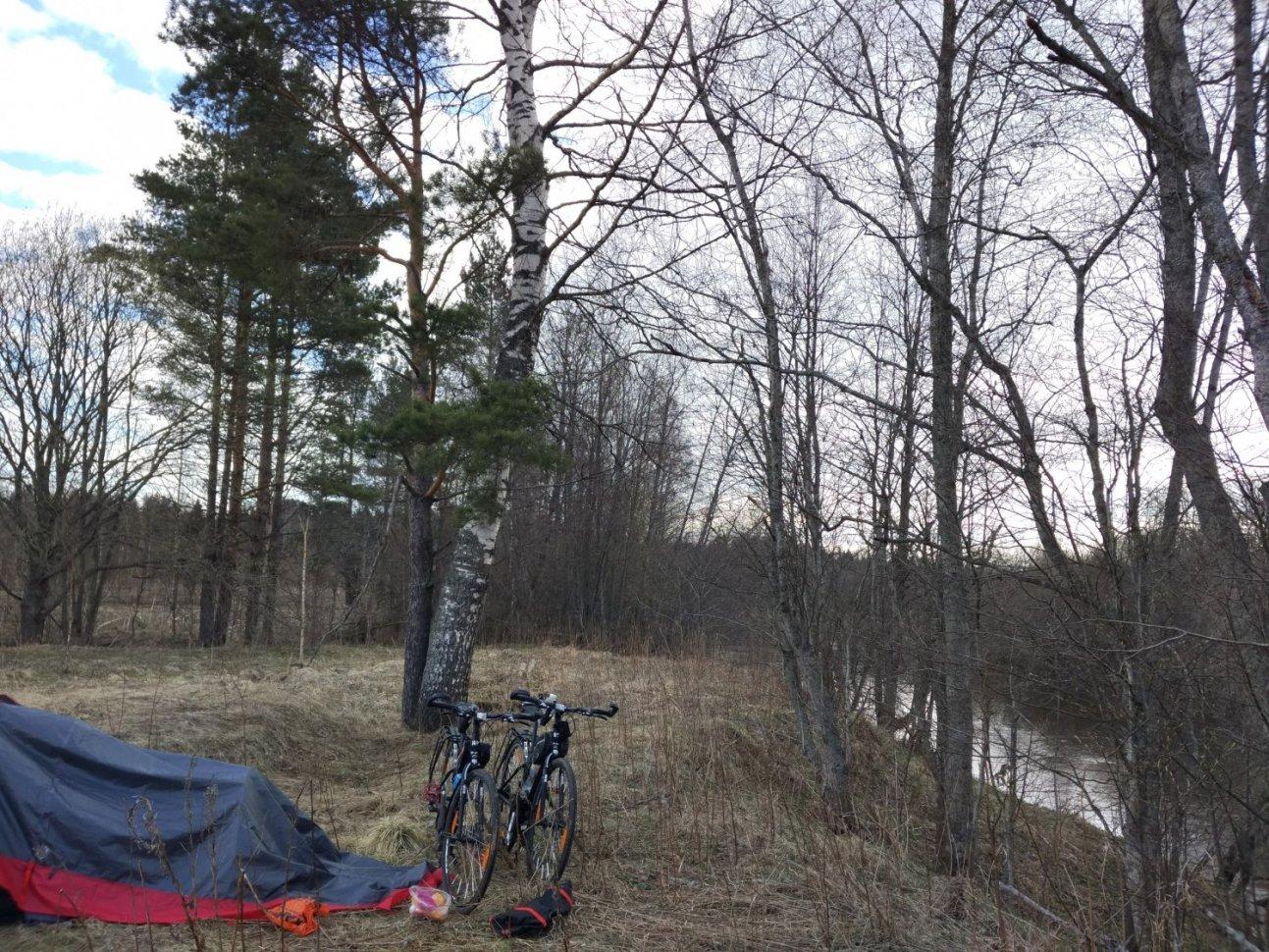 Велосипед у палатки в лесу