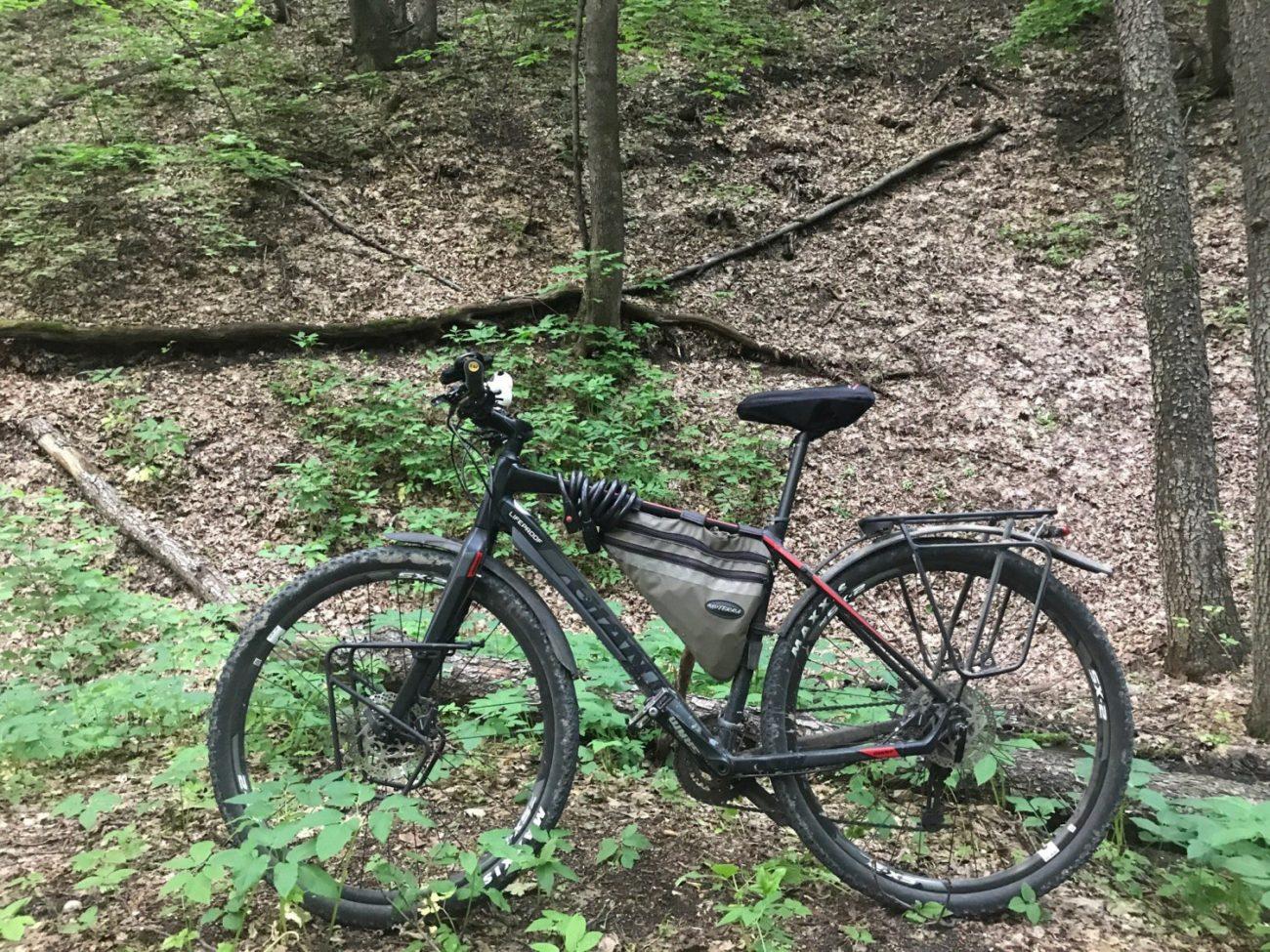 Велосипед в лесу без всего