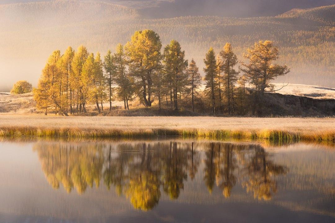 Озеро и лес, Алтай, Россия