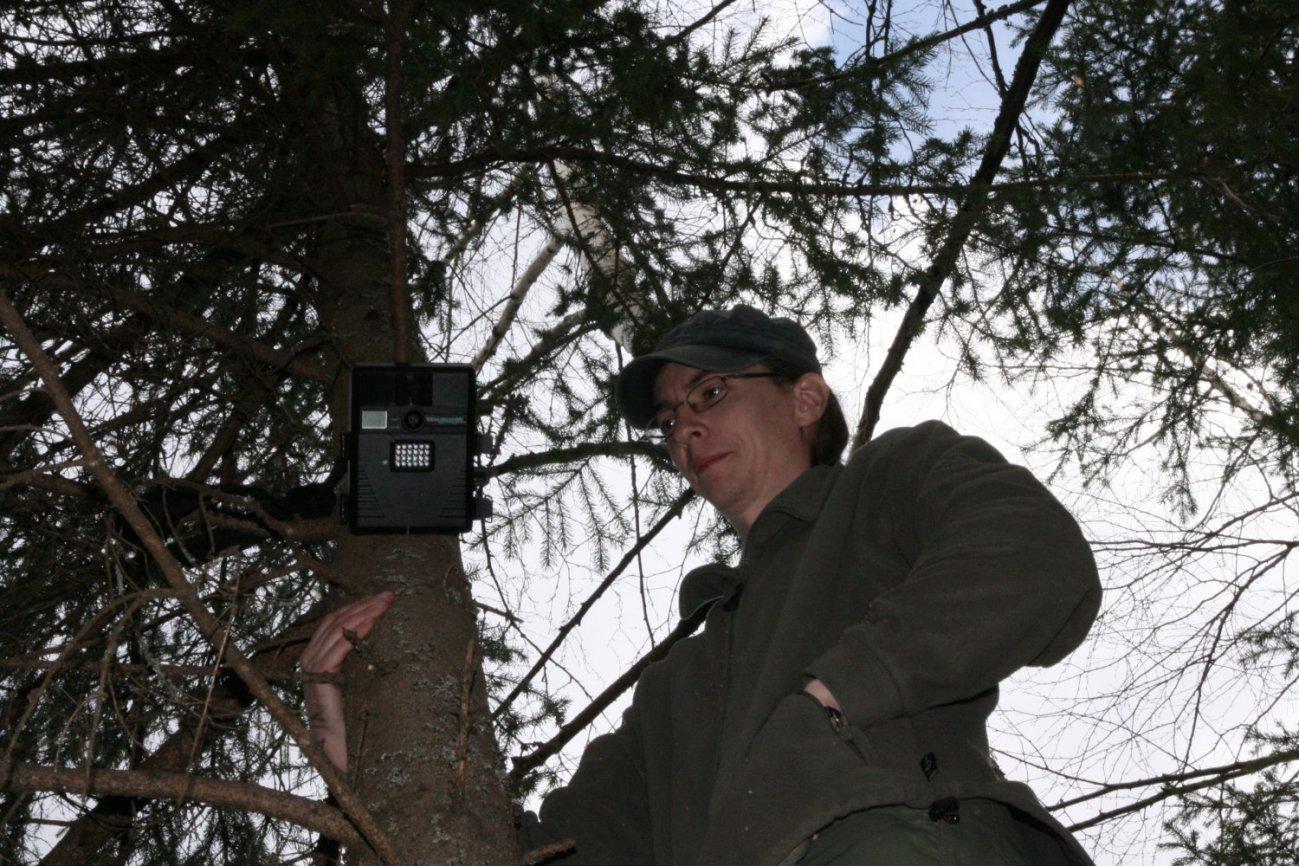 Ночная камера для снятия йети в лесу