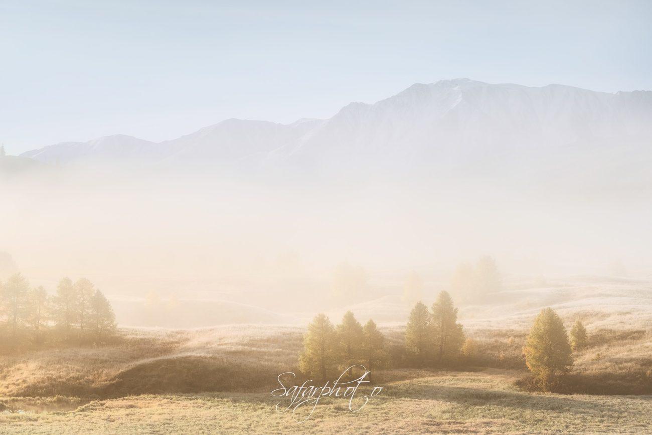 Туманное и безоблачное утро в урочище Ештыкколь, Алтай