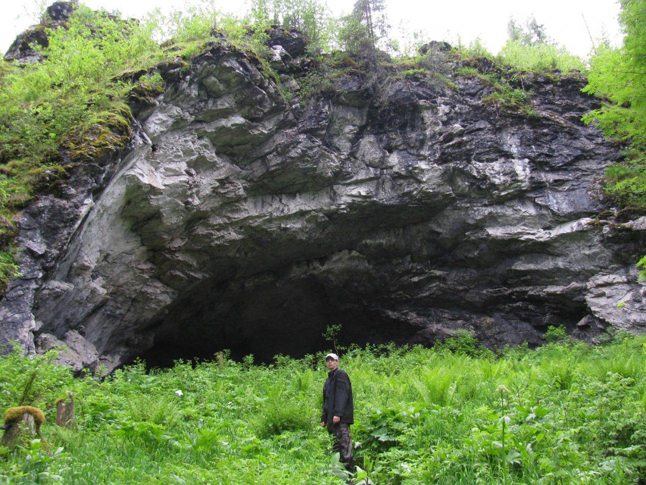 Пещера в лесу где прятался йети