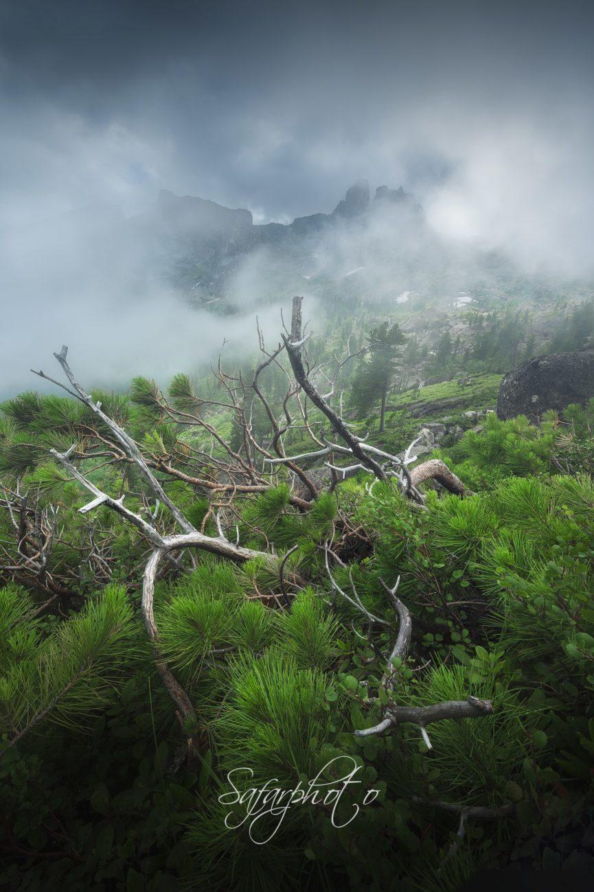 Вид на долину Тайгиша. Ергаки