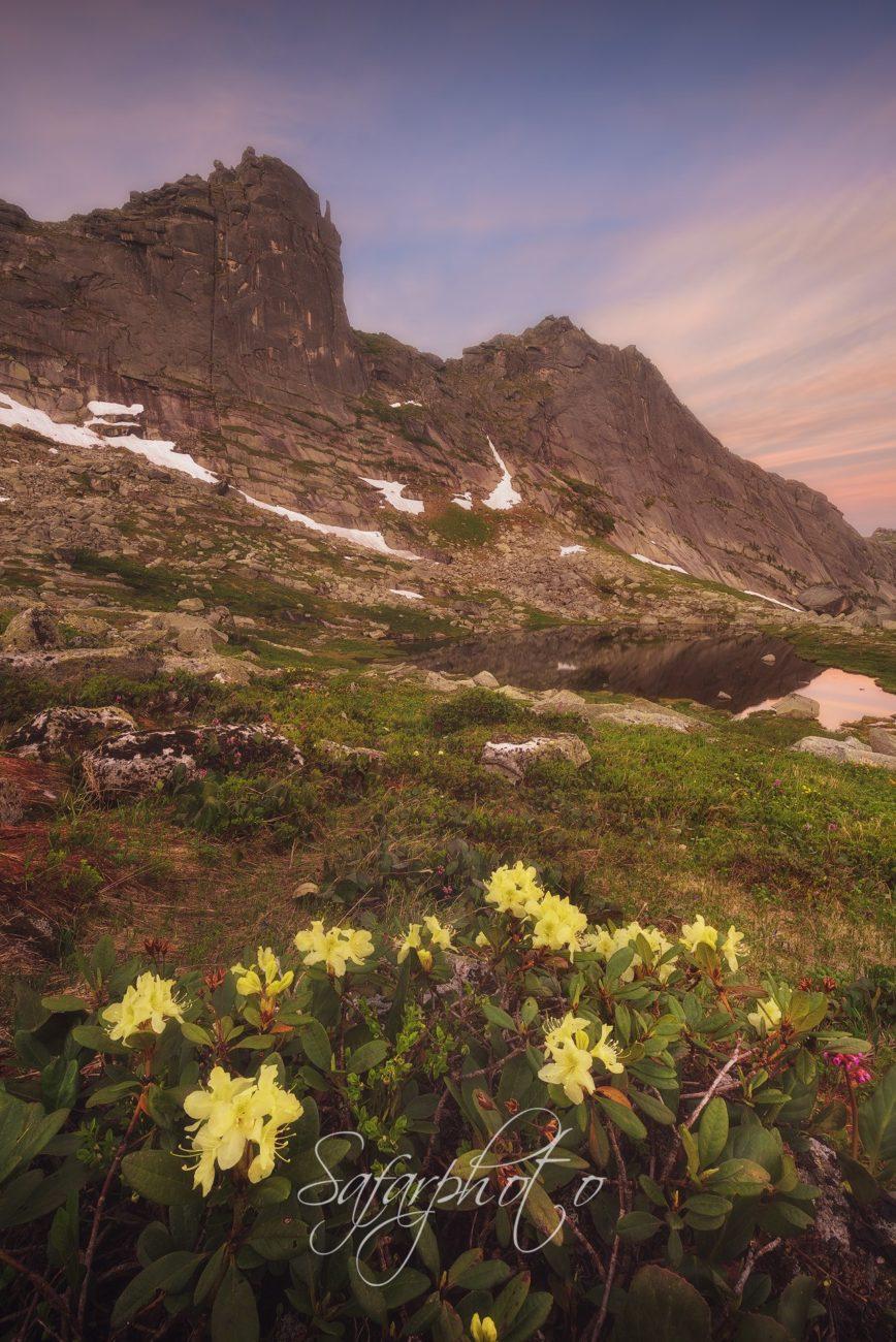 Вид на перевал Промежуточный, цветы. Ергаки