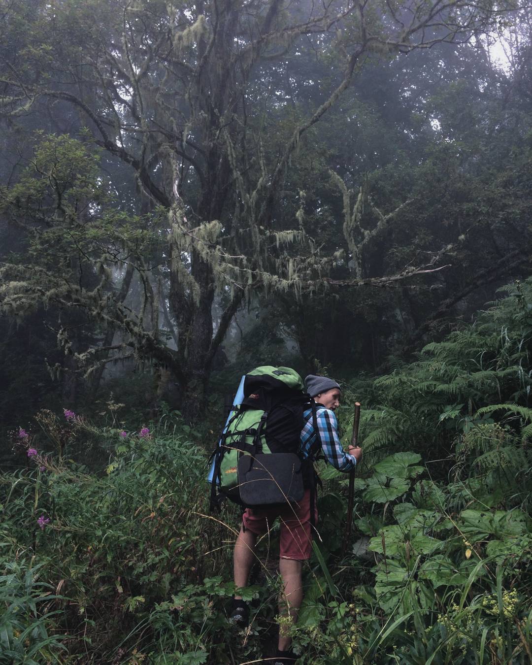 Молодой юноша в лесу с большим рюкзаком путешествует один