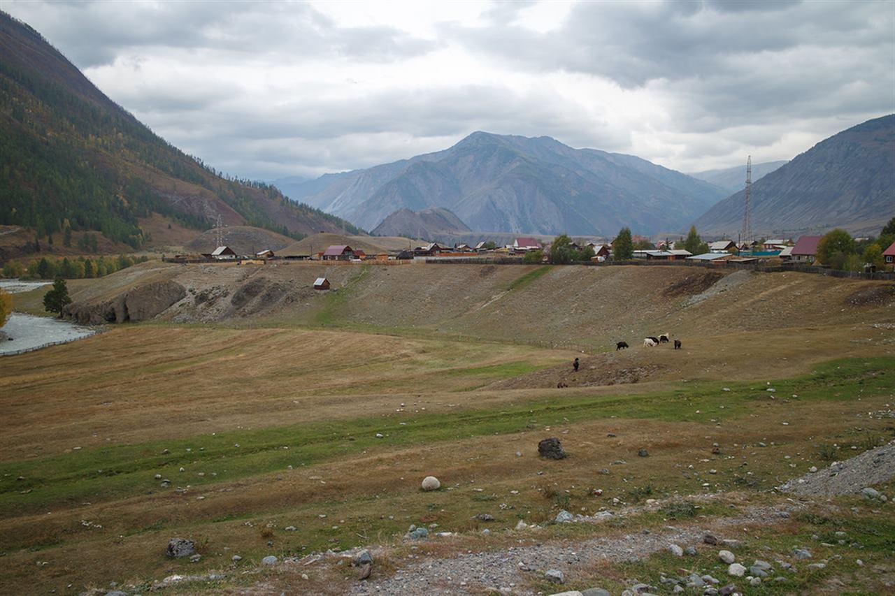 Республика алтай чибит. Село Чибит. Чибит горный Алтай. Село Чибит Республика Алтай. Шавла Алтай.