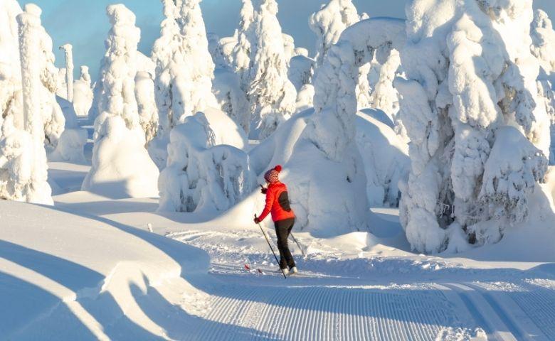 Куда поехать на Новый год в Финляндию