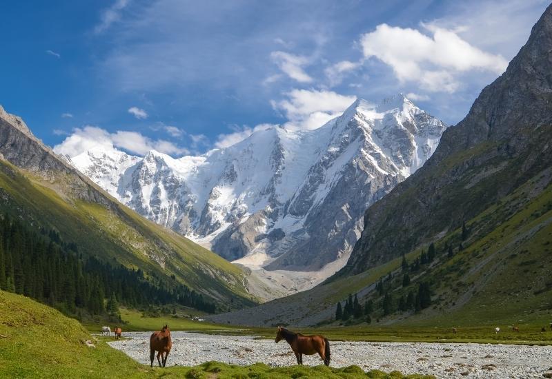 въезд по внутреннему паспорту страна Киргизия