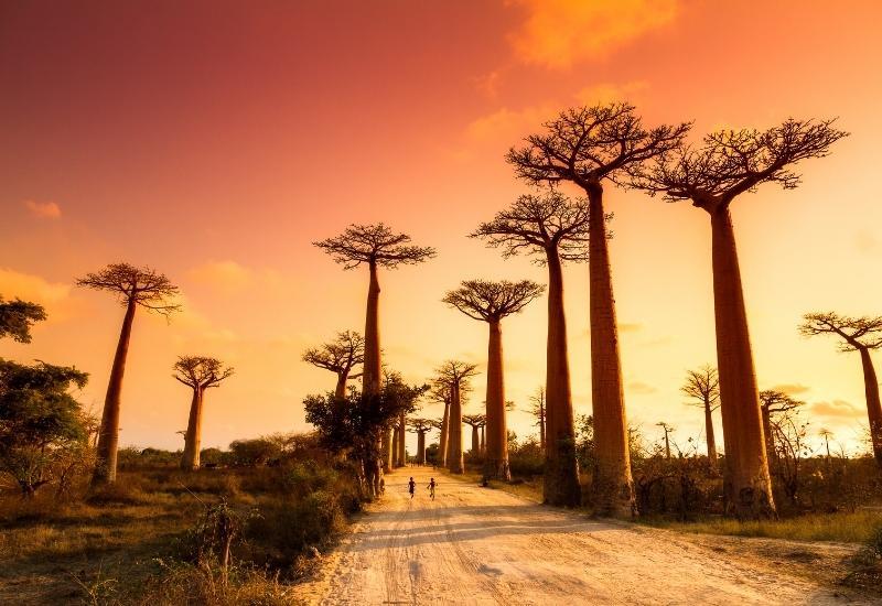 Мадагаскар - оформить визу по прибытии
