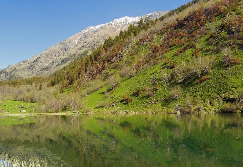 тебердинский заповедник