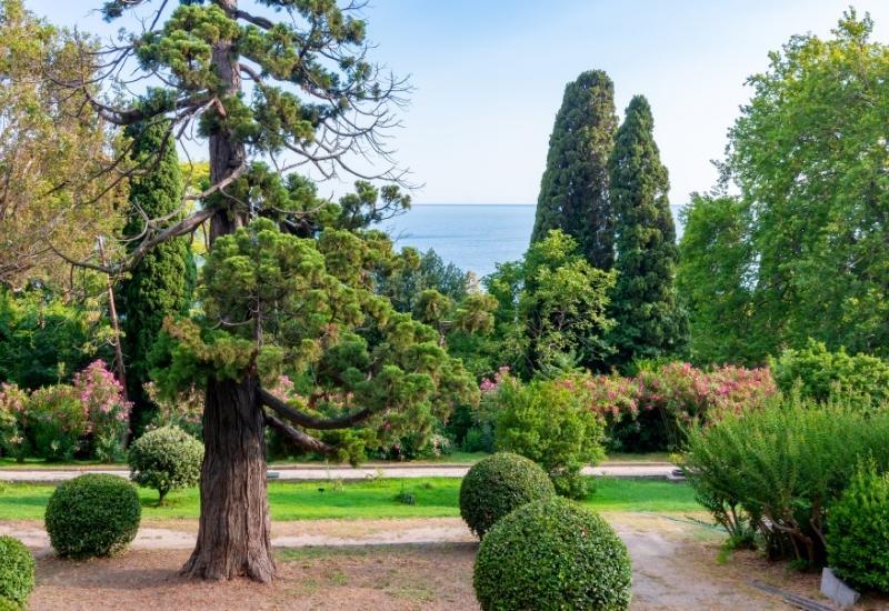 Парки сады Крыма