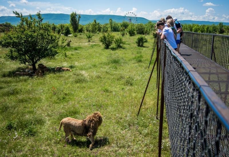 Сафари парк в Крыму