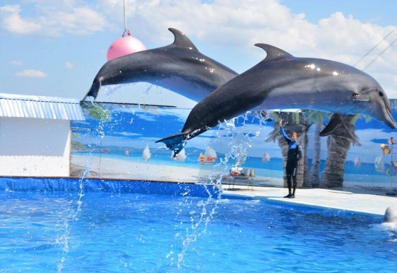 Аквапарки и дельфинарии Крыма