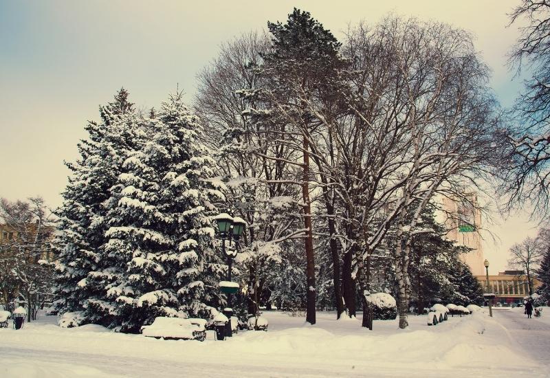 парк в ставрополе в зимнее время