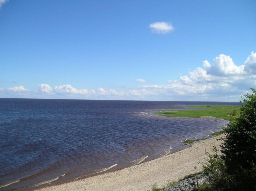 Озеро Ильмень в Новгородской области.