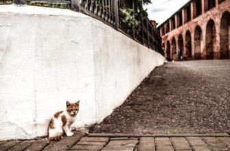 старые города россии