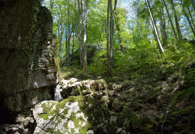 Воронцовские пещеры Сочи