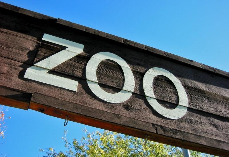 зоопарк в Сочи