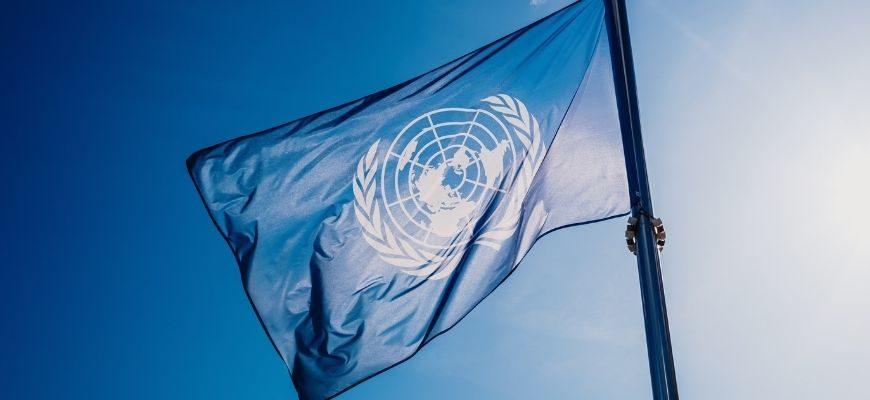 Страны ООН