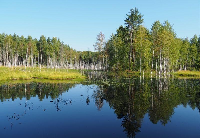 Панаярви озеро в Карелии