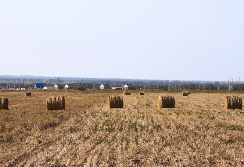 отдых поселок Кучугуры Азовское море