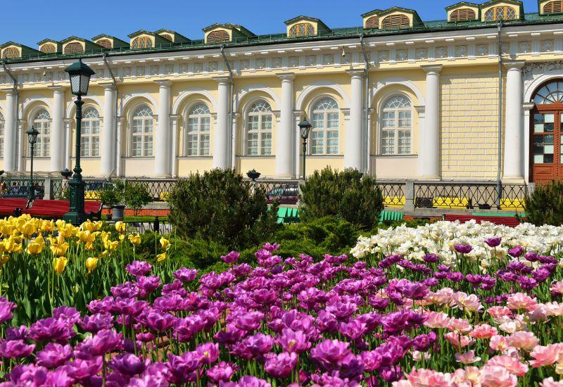Александровский сад Москва куда сходить