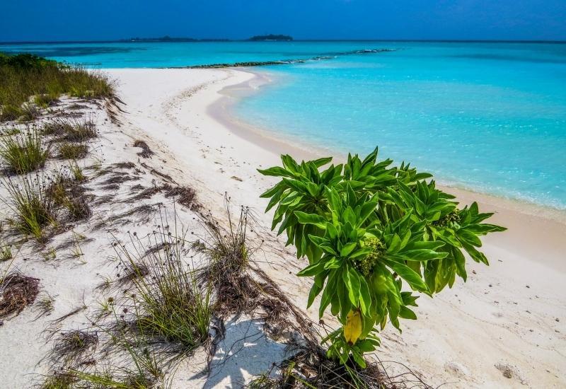 Деревенские острова Мальдив