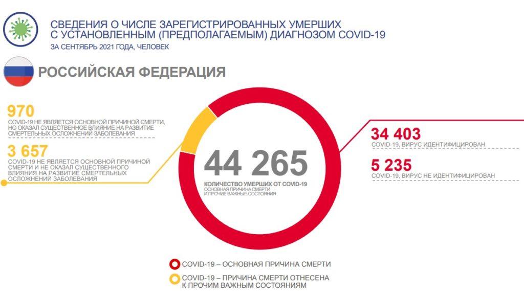 число умерших в России в период пандемии Covid-19