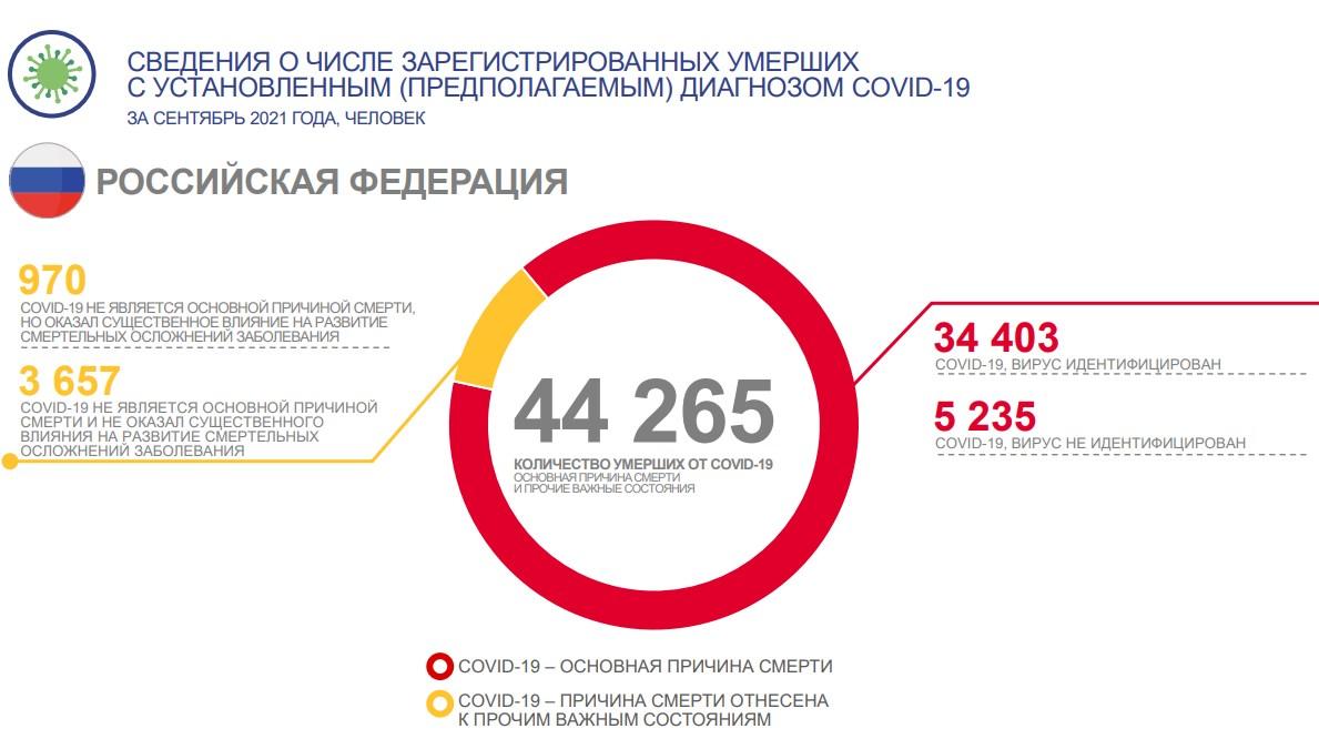 Население россии 2024 с учетом новых. Население России на 2023 год. Численность населения России на 2023 год. Росстат население России. Статистика смертности населения России по годам.