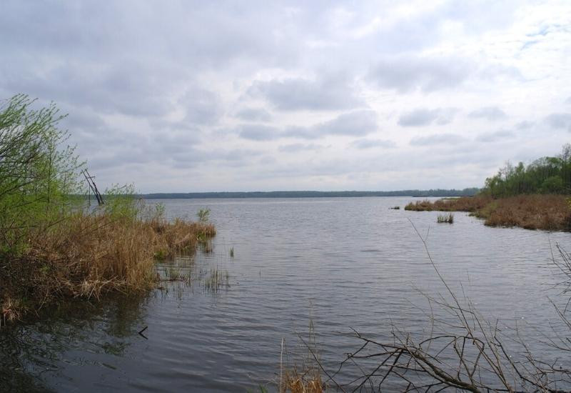 Муромское озеро Московская область