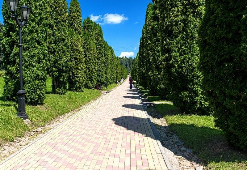 лечебные ресурсы Кисловодска