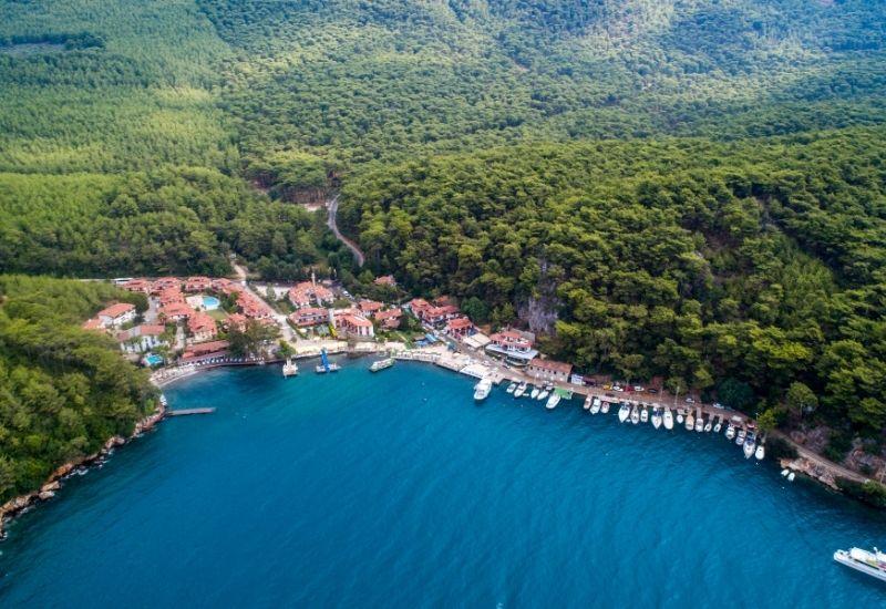курорт Мармарис Турция акула