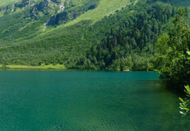 Кардывач озеро в Кавказском биосферном заповеднике