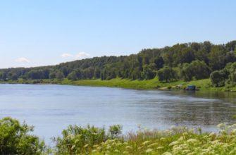 Где отдохнуть в Подмосковье