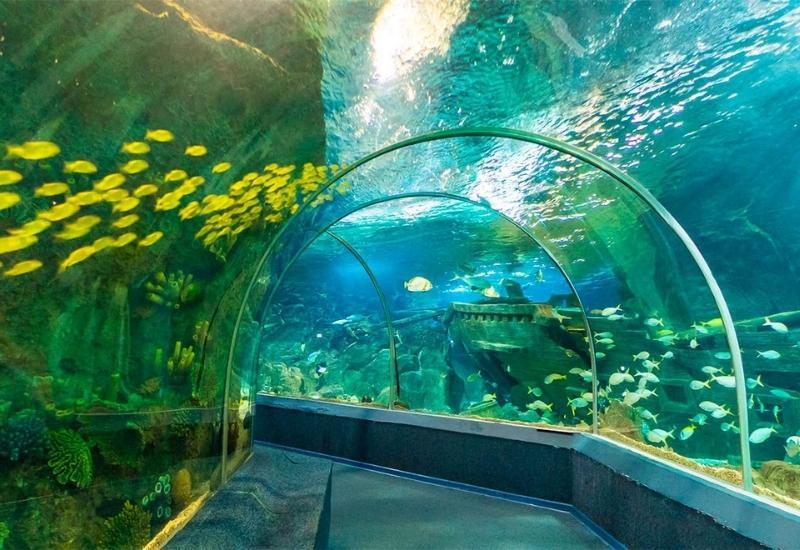 «Sochi Discovery World Aquarium» - один из самых больших океанариумов России