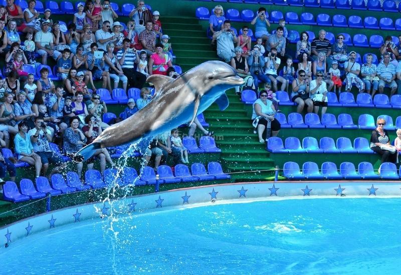 Адлерский дельфинарий 