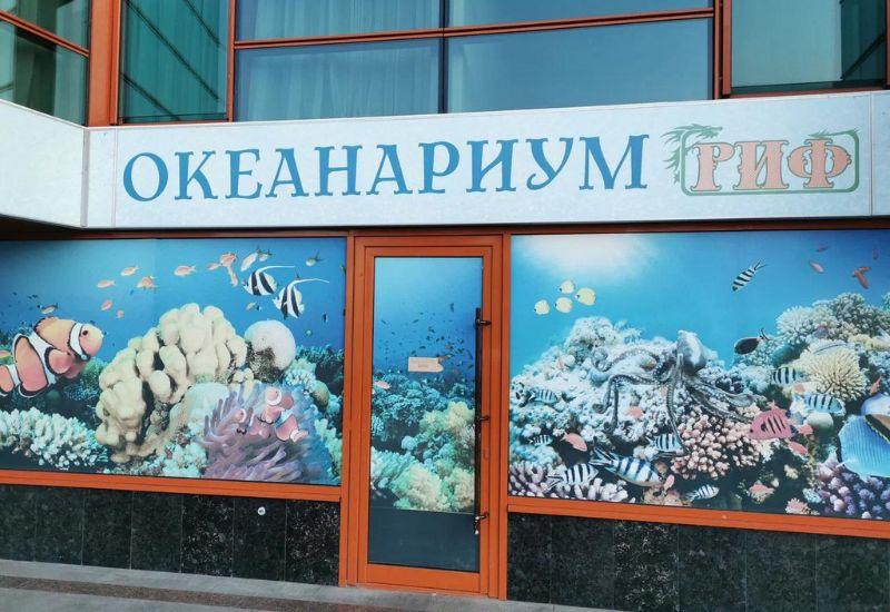 Океанариум «Риф» Анапа куда сходиить