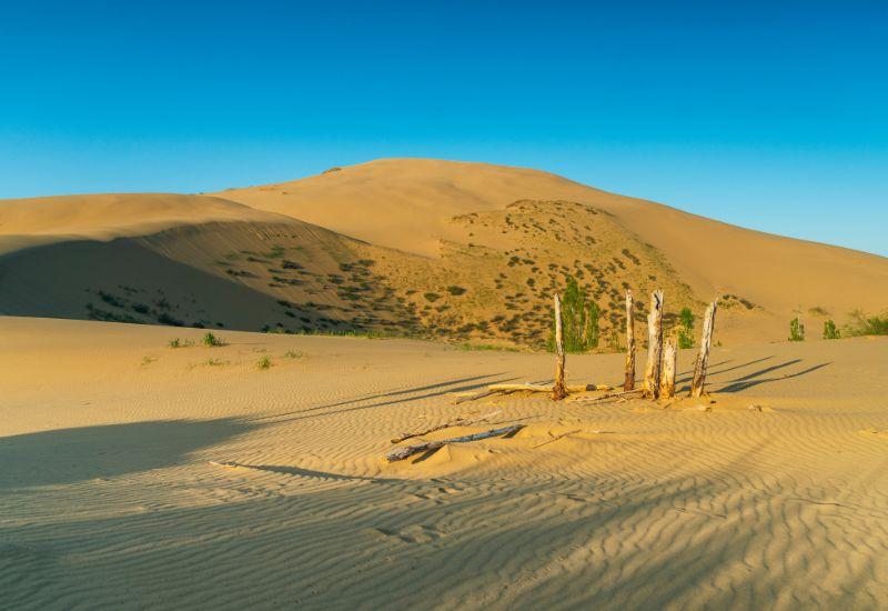 Песчаная гора Бархан Сарыкум