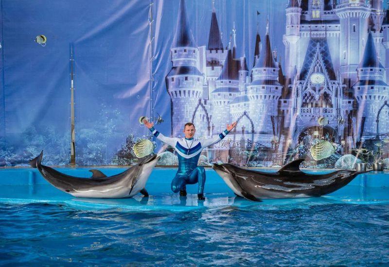 Морская звезда дельфинарий Лазаревское