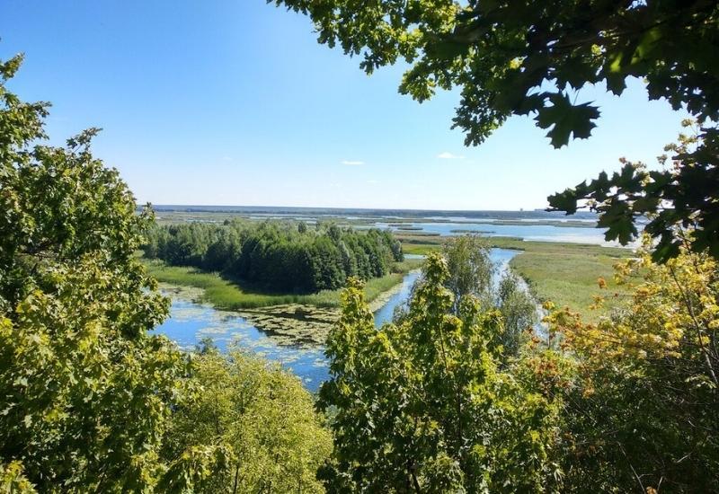 «Лысая гора» Воронеж