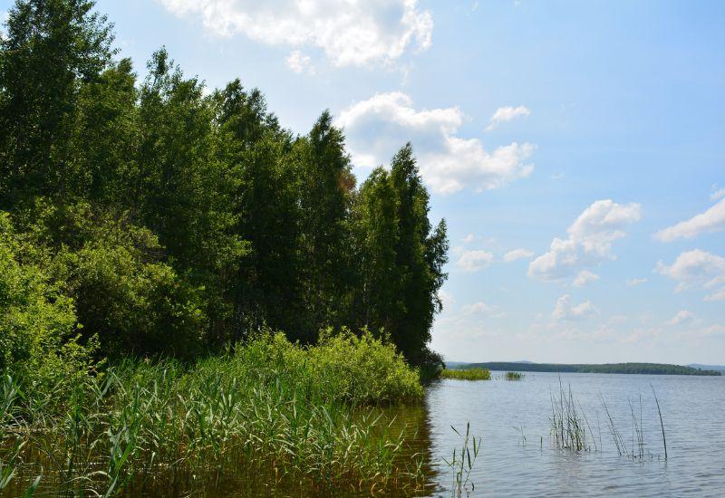 Водохранилище Волчихинское  Екатеринбург