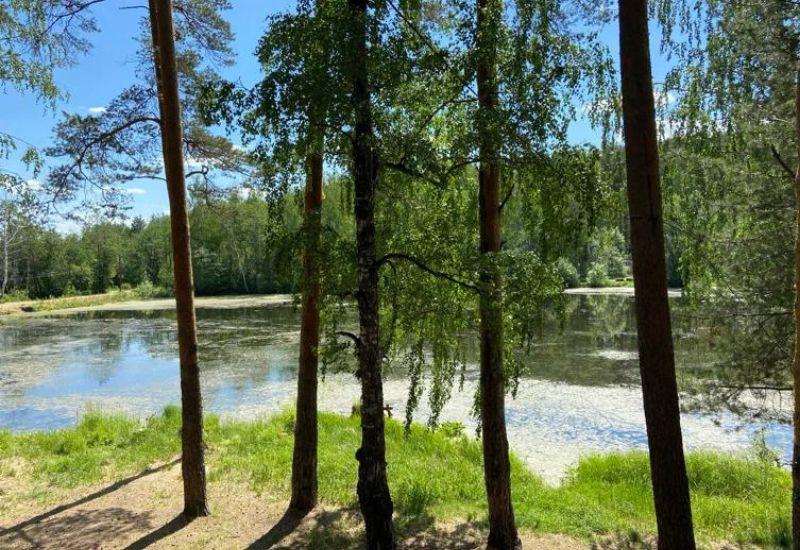 Озеро Щучье пляж Екатеринбург