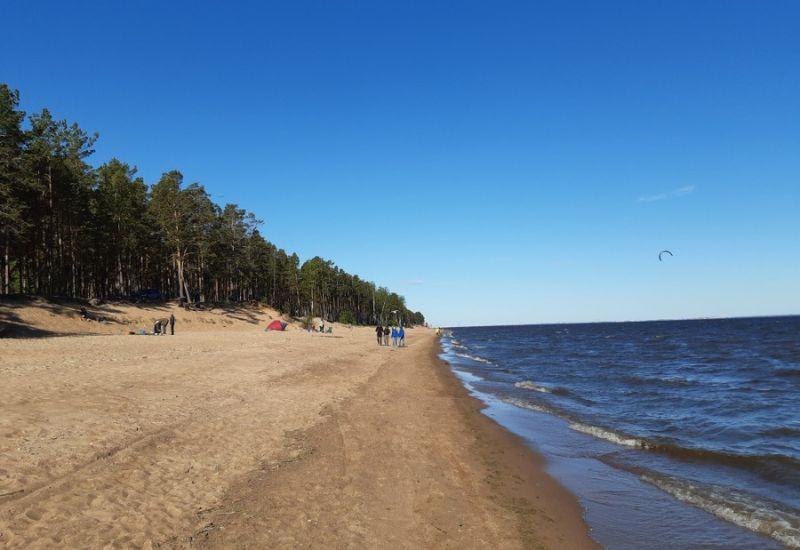 Лебяжий пляж, Ломоносовский р-н 