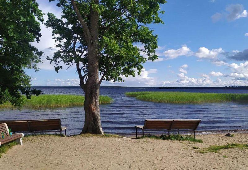 Карельский перешеек озеро Отрадное пляж