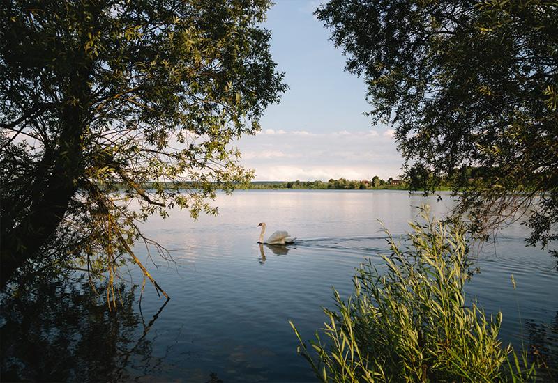 Озеро Виштынецкое в Калининградской области