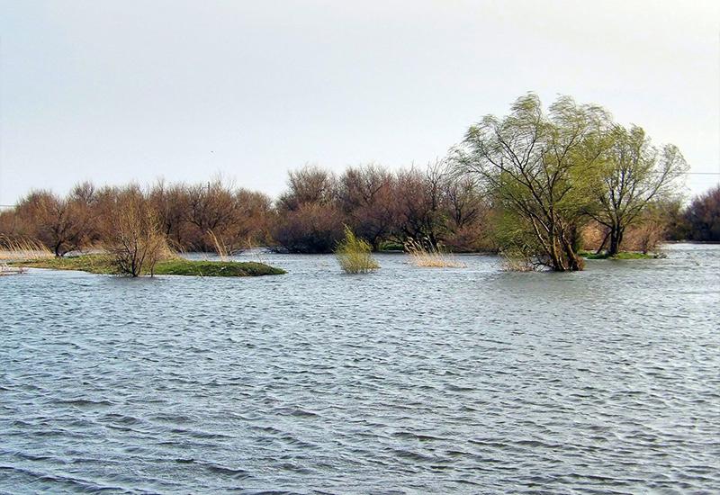 Село Каратаево река Мертвый Донец