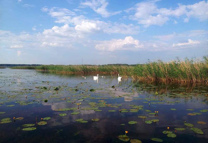 Малый Кременкуль озеро в Челябинской области