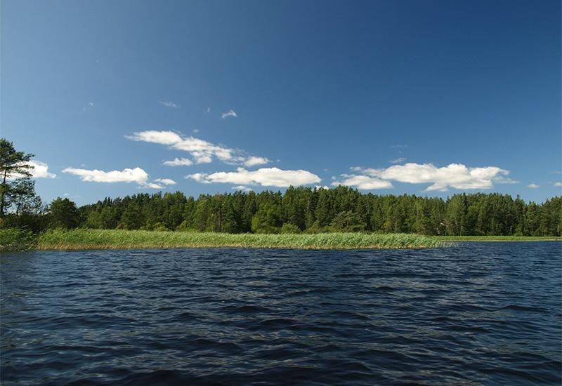 Озеро Ладожское рыбалка СПб
