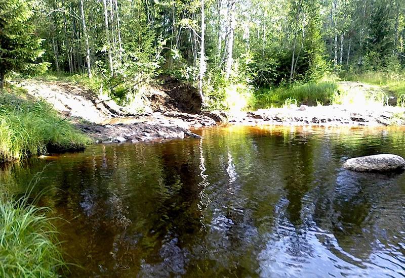 Река Сестра Ленобласть рыбалка