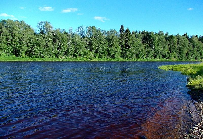 Рыбалка на реке Сясь